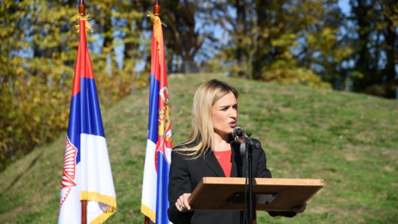 Ђурђевић на обележавању Дана ослобођења Сремске Митровице: Доста су нам цртали границе на Сави и Дунаву