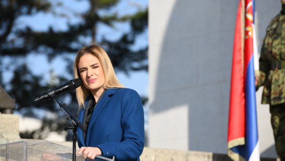 Ђурђевић Стаменковски на 111. годишњици Колубарске битке: Србија се не чува само храброшћу, већ и добротом