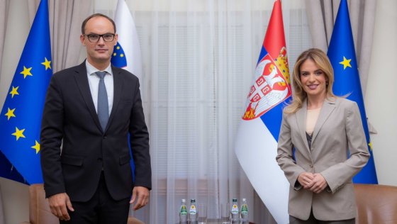 Ђурђевић Стаменковски са потпредседником Владе Словеније о јачању сарадње две земље