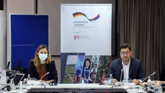 Потенцијал и изазови учешћа дијаспоре у економском развоју Републике Србије