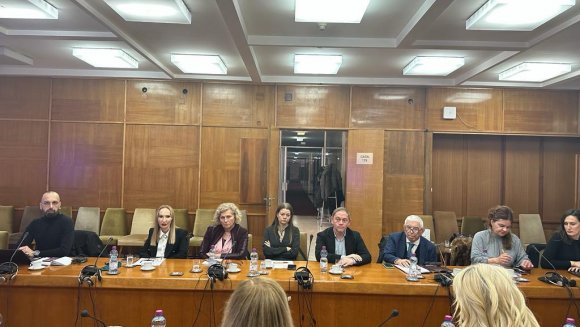 Барошевић председавала 8. седницом Савета за особе са инвалидитетом Владе Србије