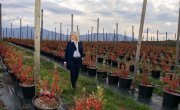 Велики потенцијал женског предузетништва за даљи економски развој Србије