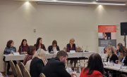 Видојевић на округлом столу "Промовисање националне синергије у решавању насиља над женама"
