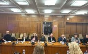 Барошевић председавала 8. седницом Савета за особе са инвалидитетом Владе Србије