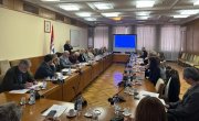 Барошевић председавала 8. седницом Савета за особе са инвалидитетом Владе Србије
