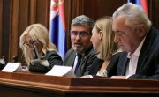 Старовић на седници  Одбора за права детета „Превенција и спречавање свих облика насиља која укључују децу“