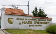 На слави Дома „Мале пчелице“ министарка поручила: Најважније је да бринемо једни о другима