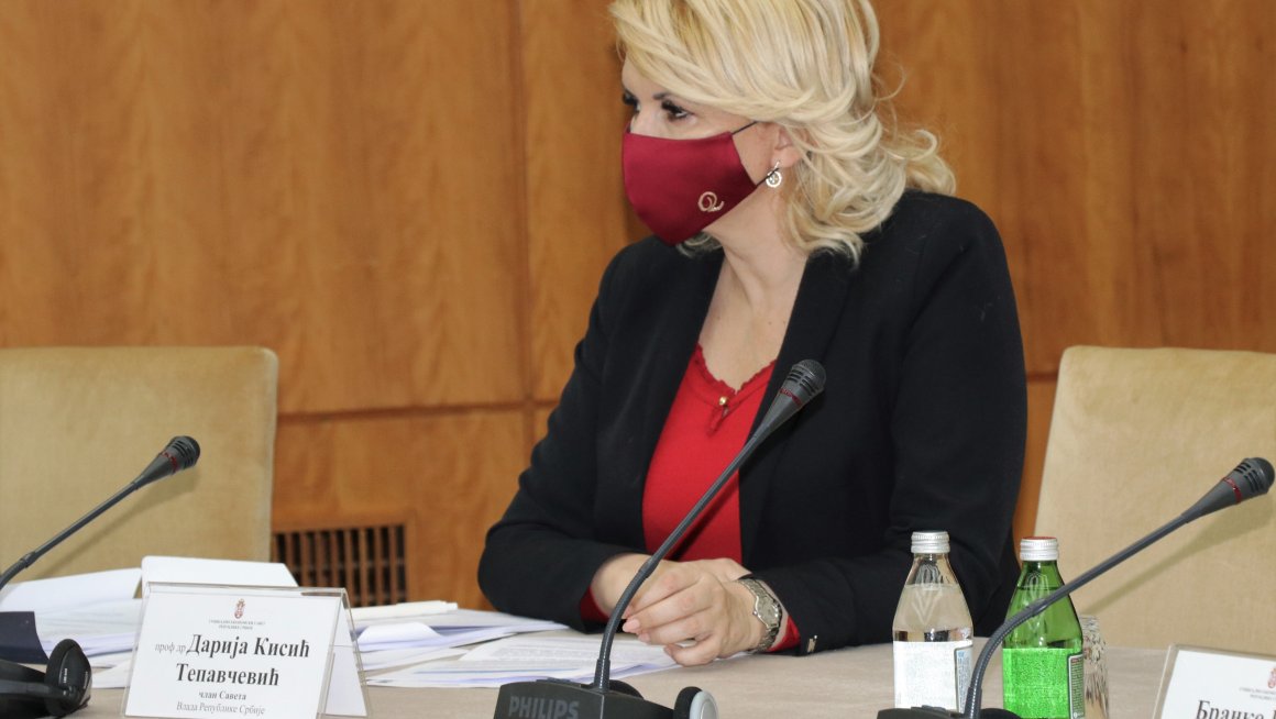 Кисић Тепавчевић на седници Социјално - економског савета