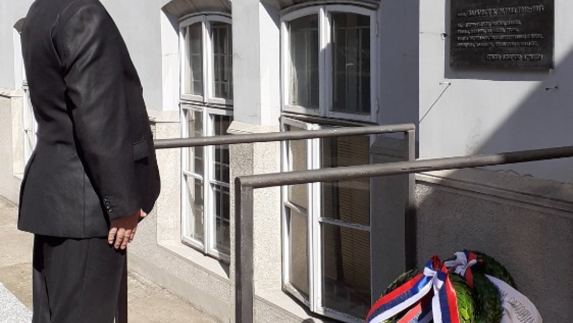 Комеморативни скуп у знак захвалности страним санитетским мисијама у Балканским и Првом светском рату