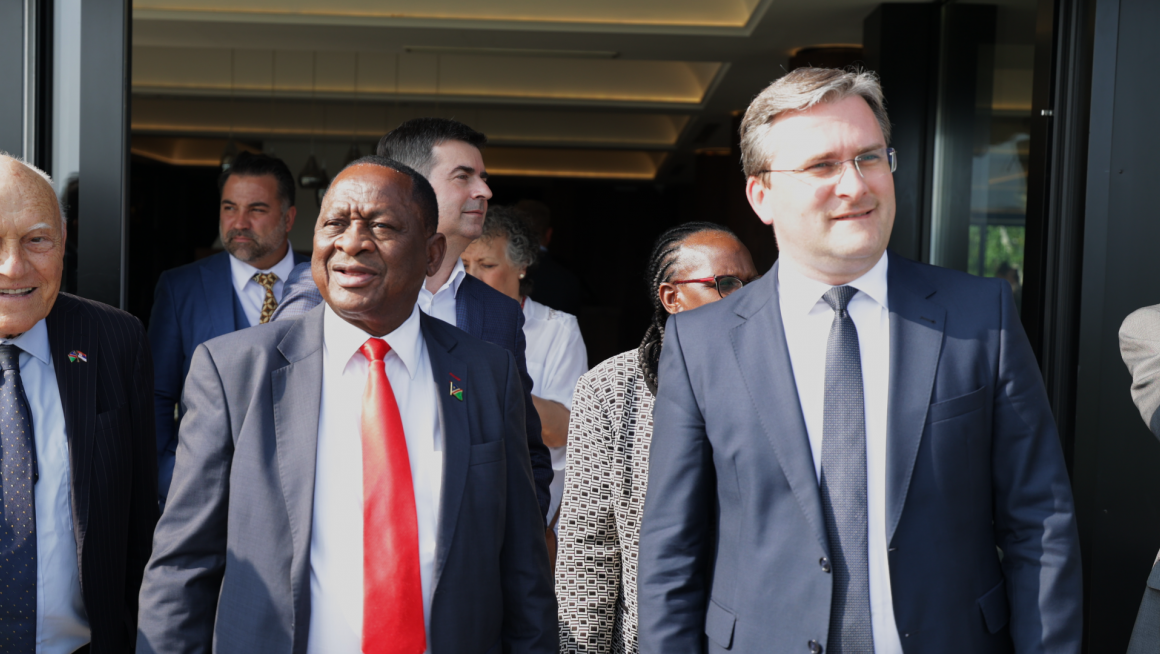 Министар Селаковић са министром здравља и социјалне заштите Намибије