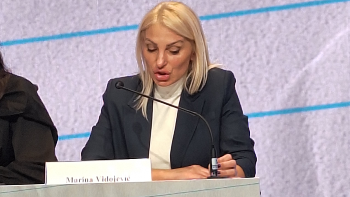 Видојевић на међународном скупу „Подршка менталном здрављу и психосоцијалном благостању младих у Србији“