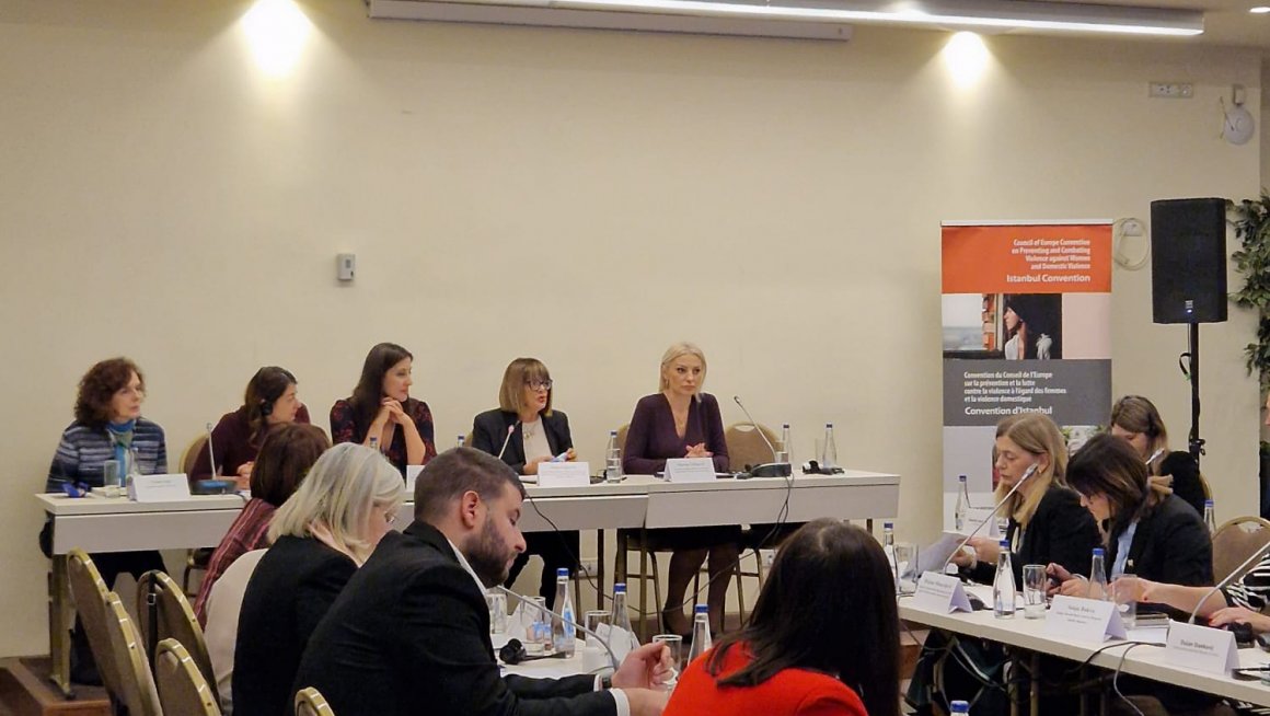 Видојевић на округлом столу "Промовисање националне синергије у решавању насиља над женама"