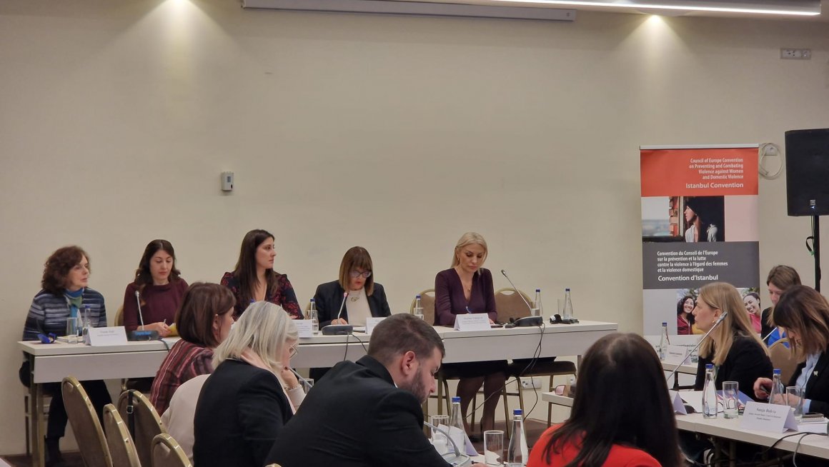 Видојевић на округлом столу "Промовисање националне синергије у решавању насиља над женама"