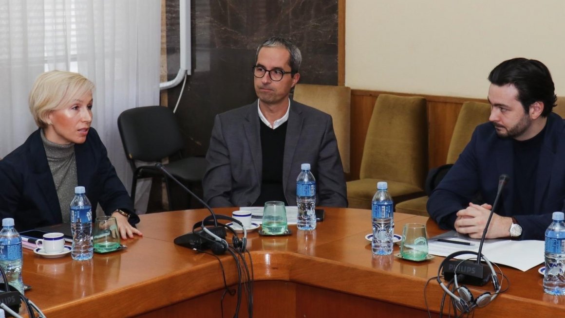 Одржана прва седница Савета за особе са инвалидитетом Владе  Србије