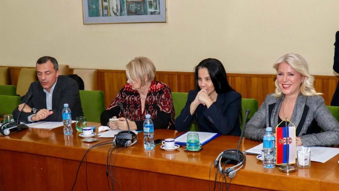 Одржана прва седница Савета за особе са инвалидитетом Владе  Србије