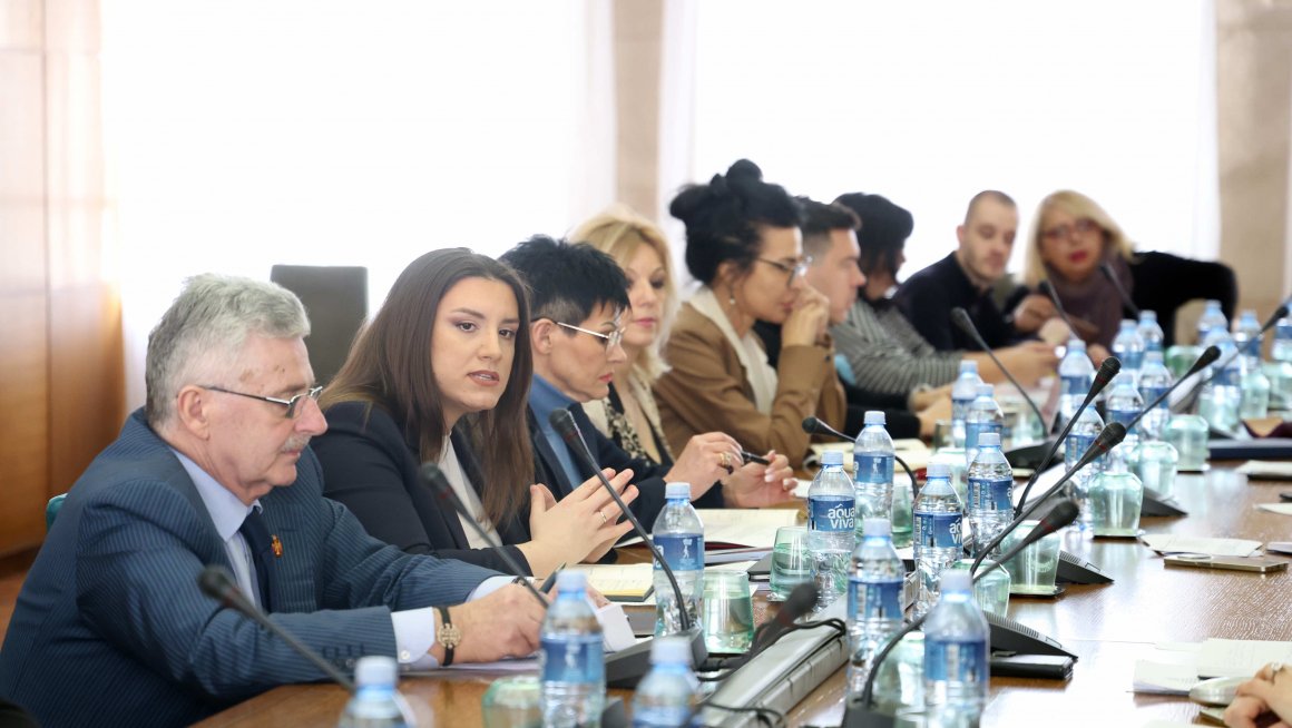 Почео рад на првом Закону о статусу родитеља неговатеља у Србији