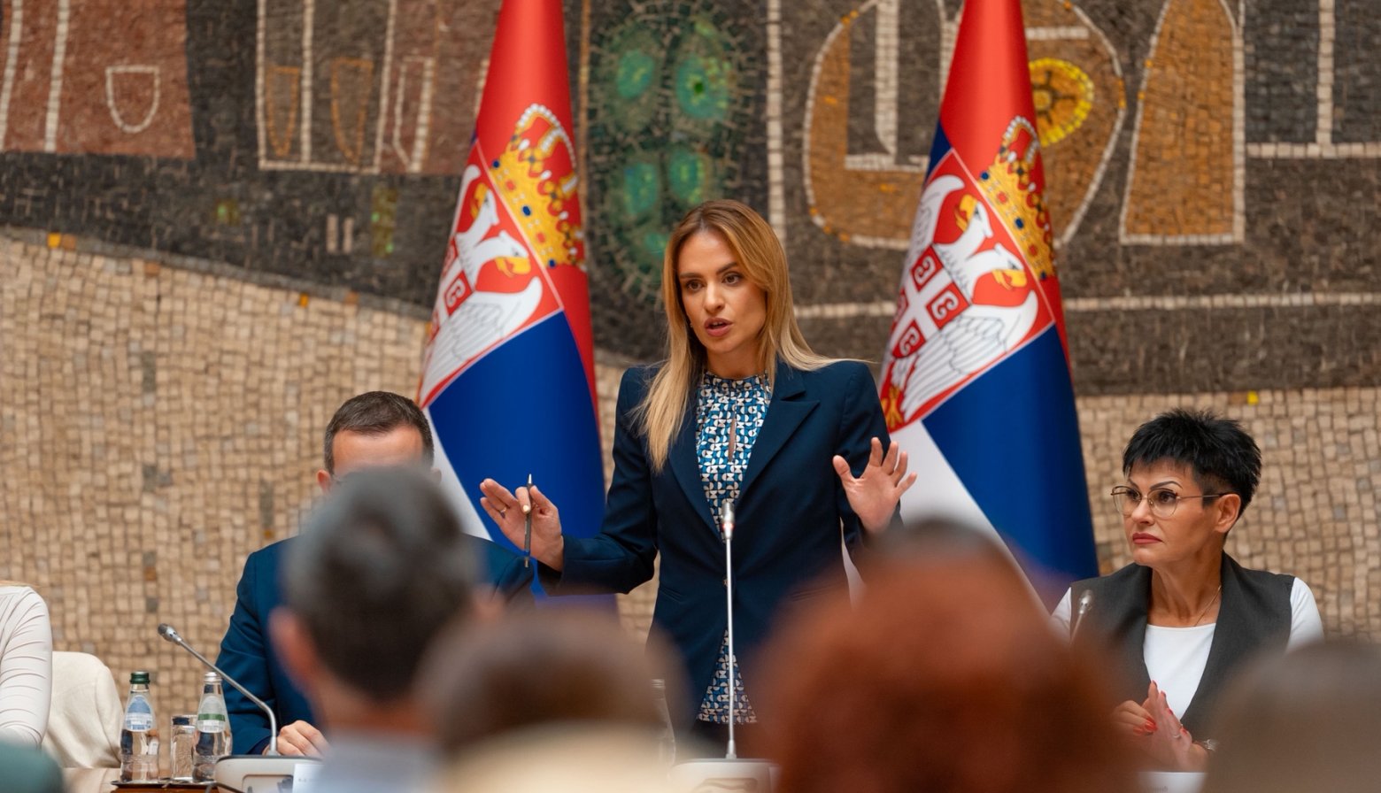 Министарство окупило центре за социјални рад: систем је спреман за примену новог закона о родитељима неговатељима
